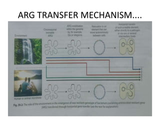 ARG TRANSFER MECHANISM....
 
