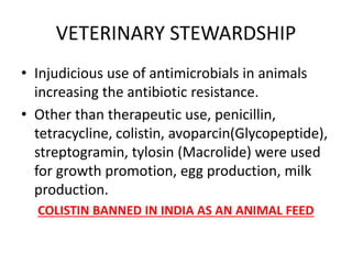 VETERINARY STEWARDSHIP
• Injudicious use of antimicrobials in animals
increasing the antibiotic resistance.
• Other than therapeutic use, penicillin,
tetracycline, colistin, avoparcin(Glycopeptide),
streptogramin, tylosin (Macrolide) were used
for growth promotion, egg production, milk
production.
COLISTIN BANNED IN INDIA AS AN ANIMAL FEED
 