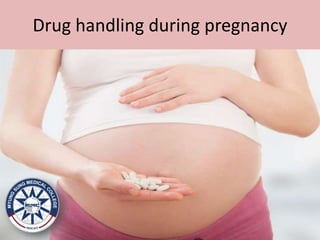 Drug handling during pregnancy
 