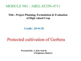 MODULE NO. : ABEL-ECON-4711
Title : Project Planning, Formulation & Evaluation
of High valued Crop
Protected cultivation of Gerbera
Credit : 20=0+20
Presented By: 1. Kale Amit R.
2.Waghmare Rahul S.
 