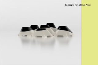 Concepts for a Final Print
 