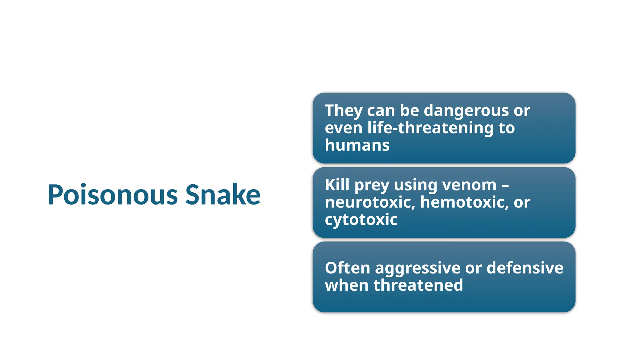 Poisonous Snake
They can be dangerous or
even life-threatening to
humans
Kill prey using venom –
neurotoxic, hemotoxic, or
cytotoxic
Often aggressive or defensive
when threatened
 