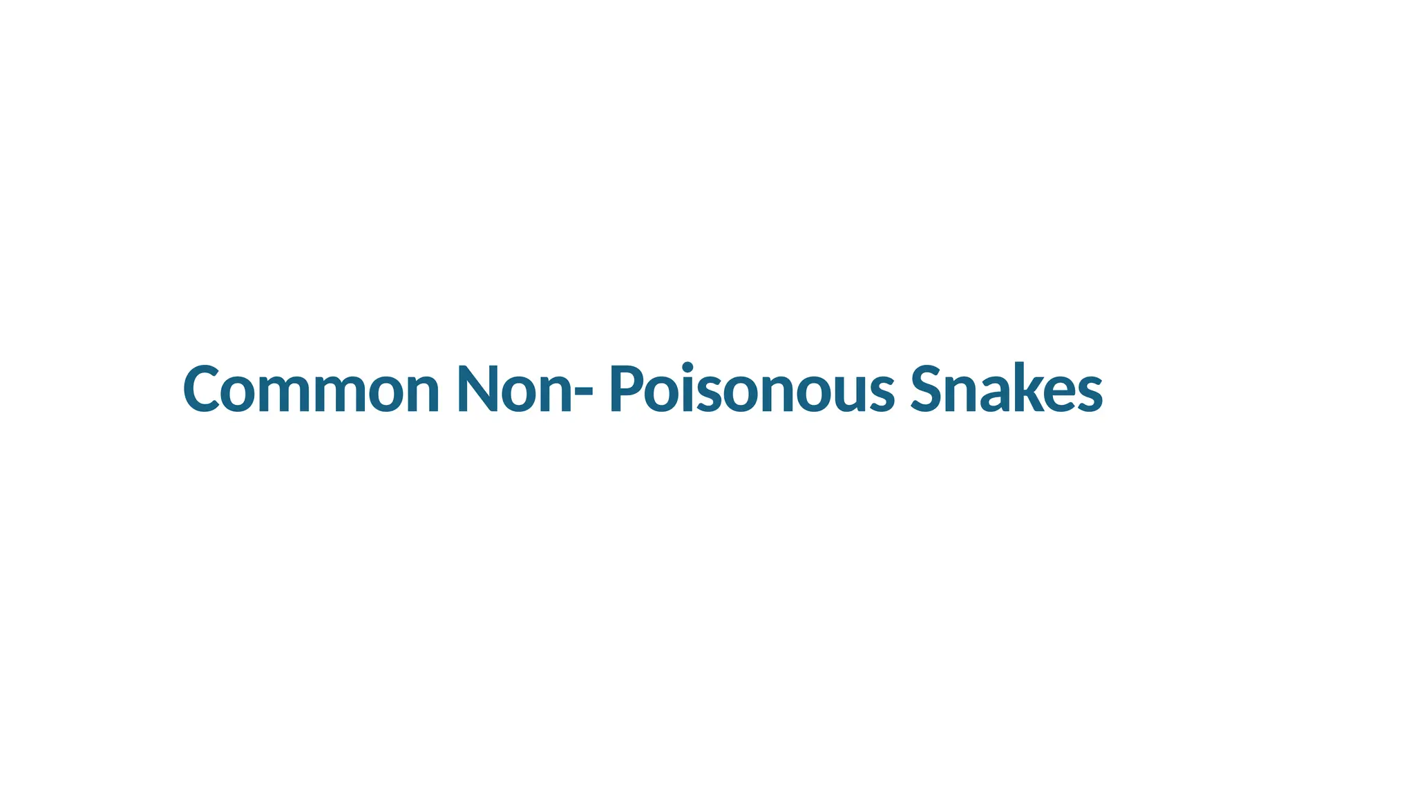 Common Non- Poisonous Snakes
 