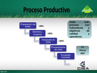 Preparación del Suelo 
•BPA 
Siembra y Cosecha 
•BPA 
Transporte de Caña 
•BPD 
Procesamiento de caña 
Envasado Industrial 
CC 
Haccp 
ASC 
Cada sub- proceso con indicadores y objetivos de calidad y operativos.  