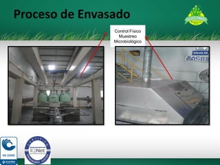Proceso de Envasado 
Control Físico Muestreo Microbiológico  