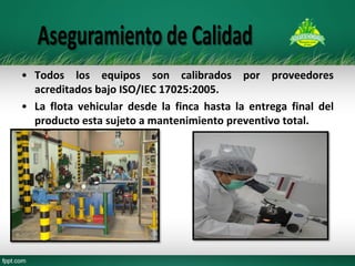 •Todos los equipos son calibrados por proveedores acreditados bajo ISO/IEC 17025:2005. 
•La flota vehicular desde la finca hasta la entrega final del producto esta sujeto a mantenimiento preventivo total. 
 
