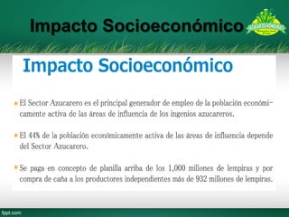 Impacto Socioeconómico  