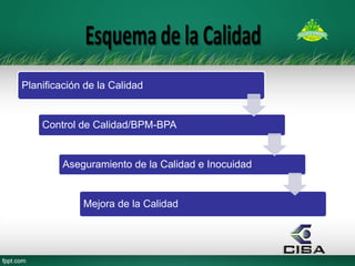 Planificación de la Calidad 
Control de Calidad/BPM-BPA 
Aseguramiento de la Calidad e Inocuidad 
Mejora de la Calidad  