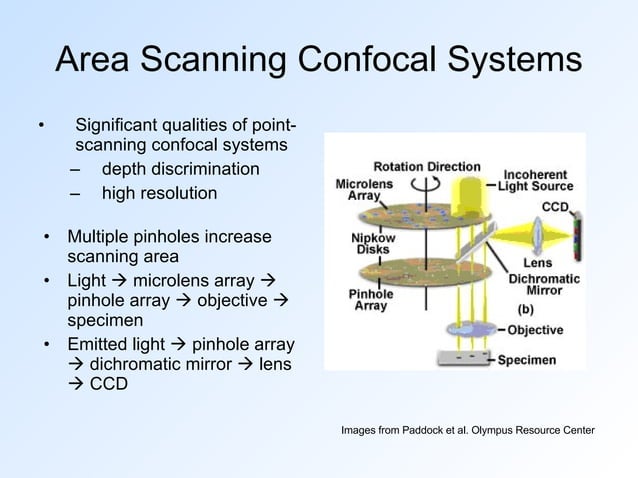 Alternatives to Point-Scan Confocal Microscopy | PPT | Free Download