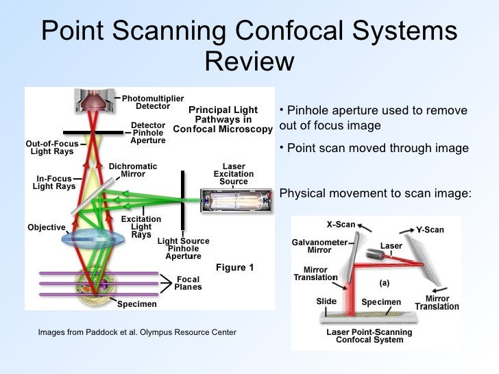 Alternatives to PointScan Confocal Microscopy