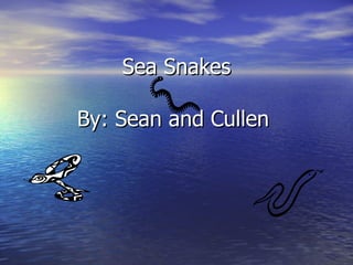 Sea Snakes By: Sean and Cullen  