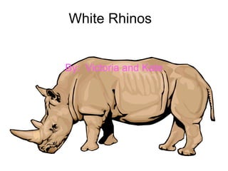 White Rhinos By:  Victoria and Kate 