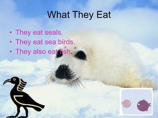 What They Eat They eat seals. They eat sea birds. They also eat fish .  