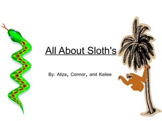 All About Sloth's By:   Aliza ,  Connor ,  and   Kailee   