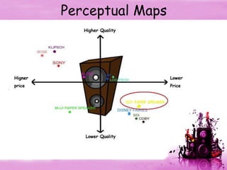 Perceptual Maps 