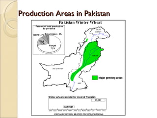 Production Areas in Pakistan  