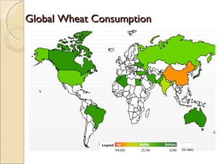 Global Wheat Consumption 