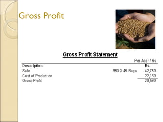Gross Profit 