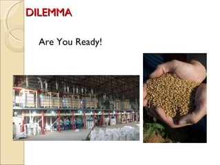 DILEMMA  Are You Ready! 
