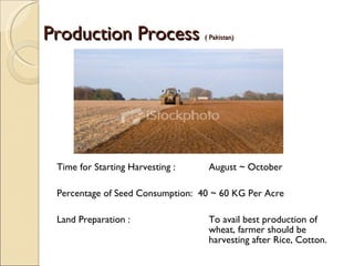 Production Process  ( Pakistan)  Time for Starting Harvesting :   August ~ October  Percentage of Seed Consumption:  40 ~ 60 KG Per Acre Land Preparation :   To avail best production of    wheat, farmer should be    harvesting after Rice, Cotton.  
