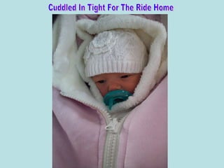 Cuddled In Tight For The Ride Home