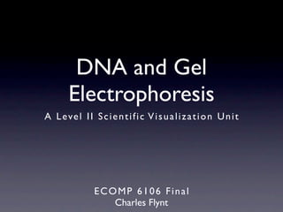 DNA and Gel
        Electrophoresis
A L e ve l I I S c i e n t i f i c V i s u a l i z a t i o n U n i t




                 ECOMP 6106 Final
                    Charles Flynt
 