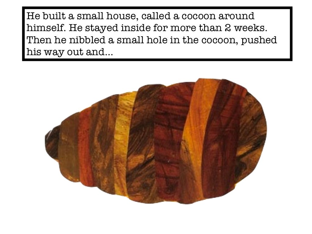 The Very Hungry Caterpillar