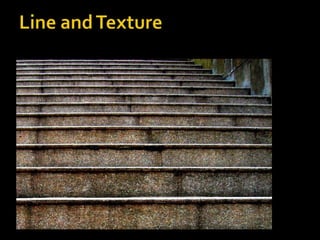 Line and Texture