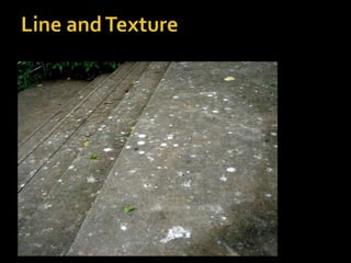 Line and Texture