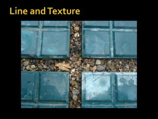 Line and Texture