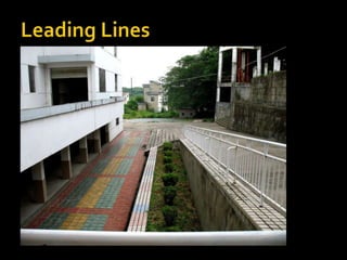 Leading Lines