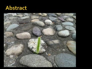 Abstract