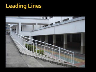Leading LinesLeading Lines