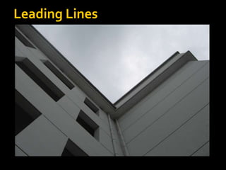 Leading Lines