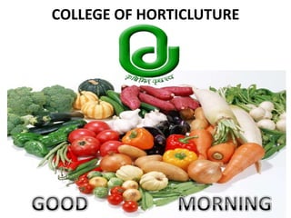 COLLEGE OF HORTICLUTURE GOOD                  MORNING 