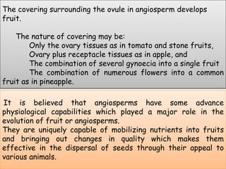 The covering surrounding the ovule in angiosperm develops fruit.       The nature of covering may be:            Only the ovary tissues as in tomato and stone fruits,            Ovary plus receptacle tissues as in apple, and            The combination of several gynoecia into a single fruit            The combination of numerous flowers into a common fruit as in pineapple. It is believed that angiosperms have some advance physiological capabilities which played a major role in the evolution of fruit or angiosperms. They are uniquely capable of mobilizing nutrients into fruits and bringing out changes in quality which makes them effective in the dispersal of seeds through their appeal to various animals. 