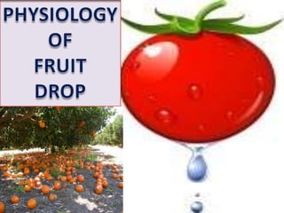 PHYSIOLOGYOFFRUITDROP