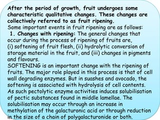 After the period of growth, fruit undergoes some characteristic qualitative changes. These changes are collectively referred to as fruit ripening. Some important events in fruit ripening are as follows: 1. Changes with ripening: The general changes that occur during the process of ripening of fruits are,          (i) softening of fruit flesh, (ii) hydrolytic conversion of storage material in the fruit, and (iii) changes in pigments and flavours.SOFTENING is an important change with the ripening of fruits. The major role played in this process is that of cell wall degrading enzymes. But in suashes and avocado, the softening is associated with hydrolysis of cell contents. As such pectolytic enzyme activities induces solubilisation of pectic substances found in middle lamellae. The solubilisation may occur through an increase in methylation of the galacturonic acid or through reduction in the size of a chain of polygalacturonide or both.