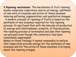 3.Ripening mechanism: The mechanism of fruit ripening mainly comprises respiratory source of energy, synthesis of new sets of enzymes and action of these enzymes inducing softening, pigmentation, and qualitative changes.  A modern concept of ripening of fruits is based on the synthesis of new enzymes required for the ripening process. It was found that with the blocade of production of energy with dinitrophenol, arsenite, of fluoroacetate, the ripening process is terminated and also that ripening can proceed even though the climacteric has been remarkably suppressed. Based on these findings it seems reasonable to believe that respiration provide energy for the synthesis of new enzymes and for the action of these enzymes in bringing about the ripening oranges.