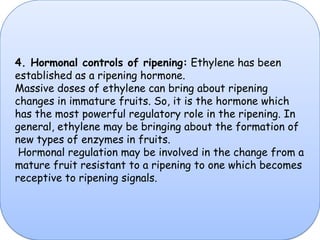 4. Hormonal controls of ripening: Ethylene has been established as a ripening hormone. Massive doses of ethylene can bring about ripening changes in immature fruits. So, it is the hormone which has the most powerful regulatory role in the ripening. In general, ethylene may be bringing about the formation of new types of enzymes in fruits. Hormonal regulation may be involved in the change from a mature fruit resistant to a ripening to one which becomes receptive to ripening signals. 
