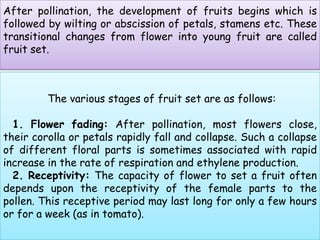 After pollination, the development of fruits begins which is followed by wilting or abscission of petals, stamens etc. These transitional changes from flower into young fruit are called fruit set.               The various stages of fruit set are as follows:  1. Flower fading: After pollination, most flowers close, their corolla or petals rapidly fall and collapse. Such a collapse of different floral parts is sometimes associated with rapid increase in the rate of respiration and ethylene production.  2. Receptivity: The capacity of flower to set a fruit often depends upon the receptivity of the female parts to the pollen. This receptive period may last long for only a few hours or for a week (as in tomato). 