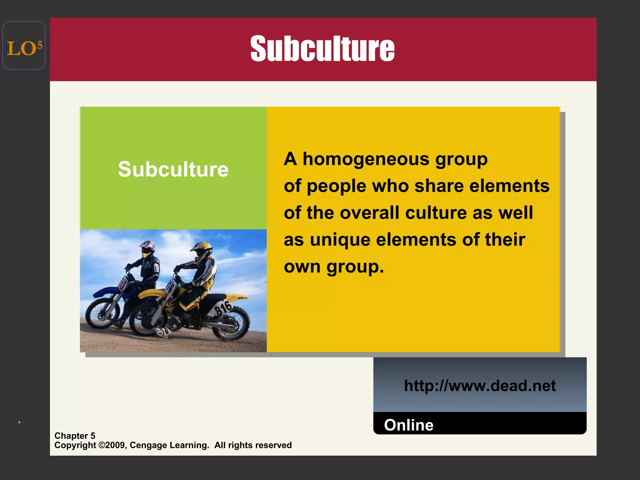 Subculture LO 5 Subculture A homogeneous group  of people who share elements of the overall culture as well as unique elements of their own group. http://www.dead.net Online 