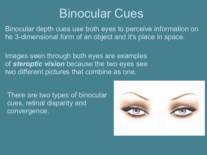 EDU290 Depth Perception
