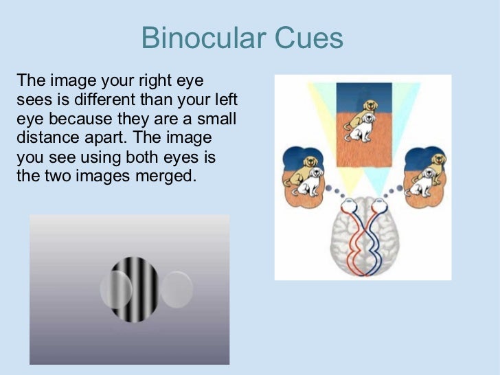 EDU290 Depth Perception