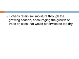    Lichens retain soil moisture through the
    growing season, encouraging the growth of
    trees on sites that would otherwise be too dry.
 