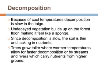 Decomposition
   Because of cool temperatures decomposition
    is slow in the taiga.
   Undecayed vegetation builds up on the forest
    floor, making it feel like a sponge.
   Since decomposition is slow, the soil is thin
    and lacking in nutrients.
   Trees grow taller where warmer temperatures
    allow for faster decomposition or by streams
    and rivers which carry nutrients from higher
    ground.
 