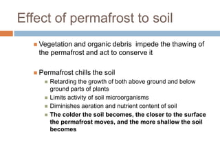Effect of permafrost to soil
   Vegetationand organic debris impede the thawing of
   the permafrost and act to conserve it

   Permafrost   chills the soil
        Retarding the growth of both above ground and below
         ground parts of plants
        Limits activity of soil microorganisms
        Diminishes aeration and nutrient content of soil
        The colder the soil becomes, the closer to the surface
         the permafrost moves, and the more shallow the soil
         becomes
 