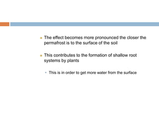    The effect becomes more pronounced the closer the
    permafrost is to the surface of the soil

   This contributes to the formation of shallow root
    systems by plants

     This is in order to get more water from the surface
 