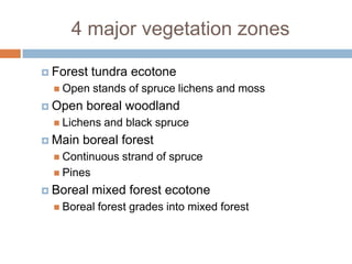 4 major vegetation zones

 Forest    tundra ecotone
   Open    stands of spruce lichens and moss
 Open   boreal woodland
   Lichens   and black spruce
 Main   boreal forest
   Continuous   strand of spruce
   Pines

 Boreal    mixed forest ecotone
   Boreal   forest grades into mixed forest
 