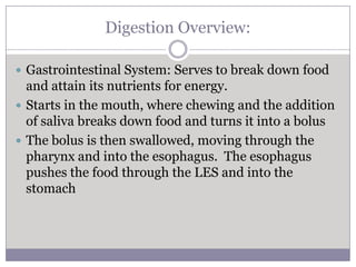Digestion Overview:

 Gastrointestinal System: Serves to break down food
  and attain its nutrients for energy.
 Starts in the mouth, where chewing and the addition
  of saliva breaks down food and turns it into a bolus
 The bolus is then swallowed, moving through the
  pharynx and into the esophagus. The esophagus
  pushes the food through the LES and into the
  stomach
 